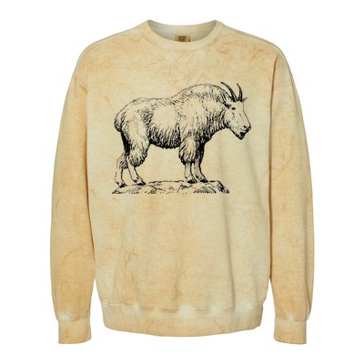 Mountain Goat Simple Mountain At Amazon ’S Clothing Store Colorblast Crewneck Sweatshirt