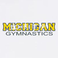 Michigan Gymnastics Tumbling Gear Gymnast Dance Kids T-Shirt