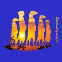 Meerkat Group With Sunset Wildlife Meerkat Cute Gift Button