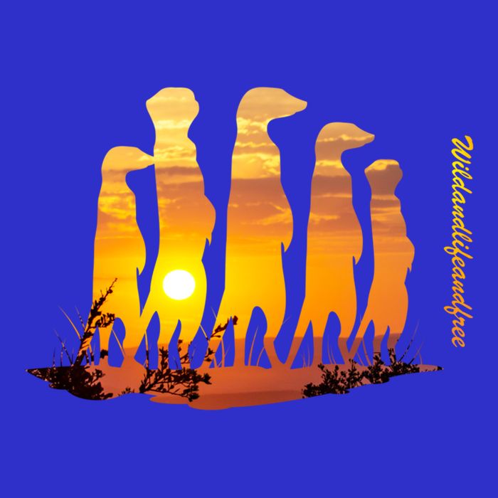 Meerkat Group With Sunset Wildlife Meerkat Cute Gift Button
