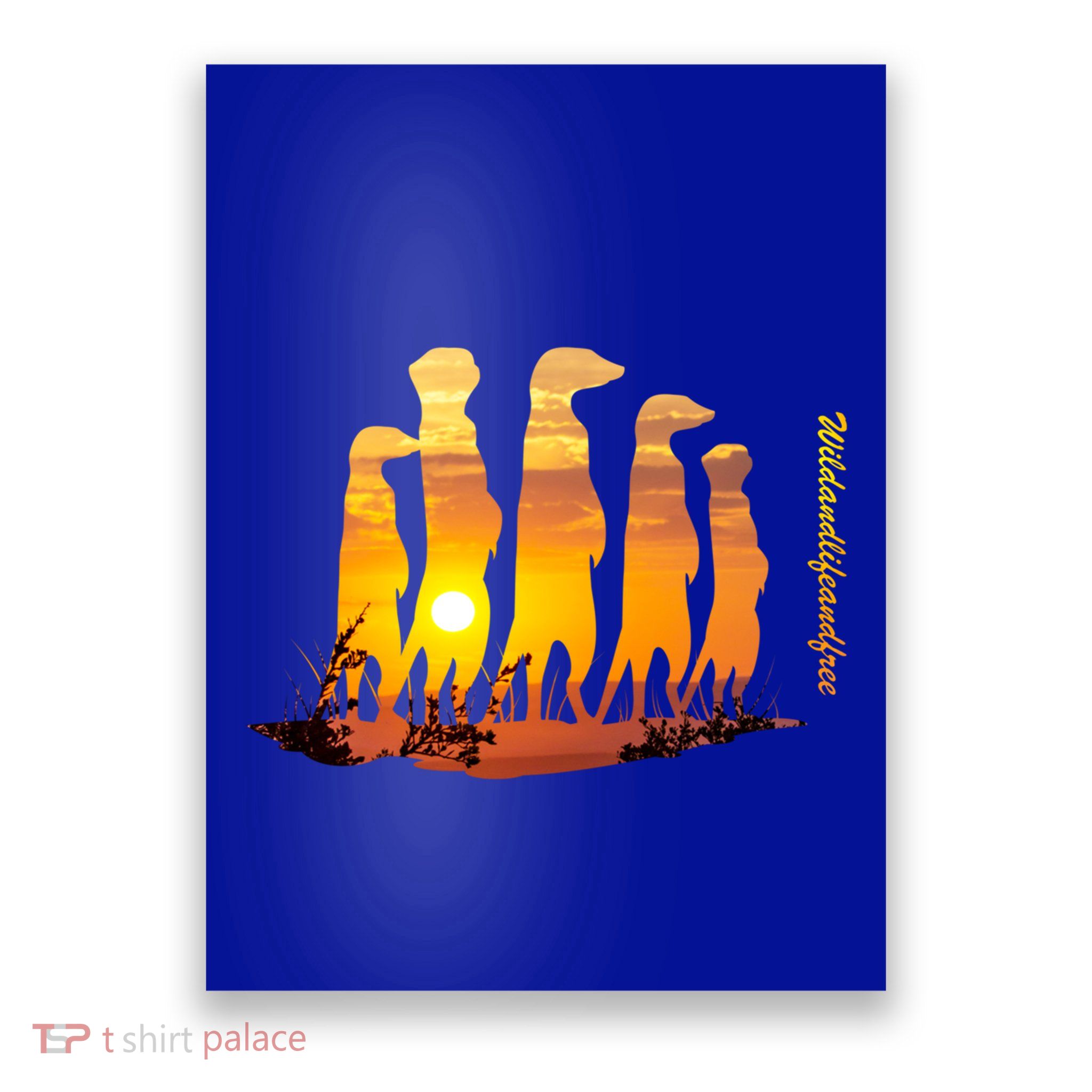 Meerkat Group With Sunset Wildlife Meerkat Cute Gift Poster