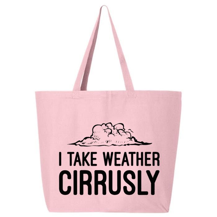 Meteorologist Gift Weather Meteorology 25L Jumbo Tote