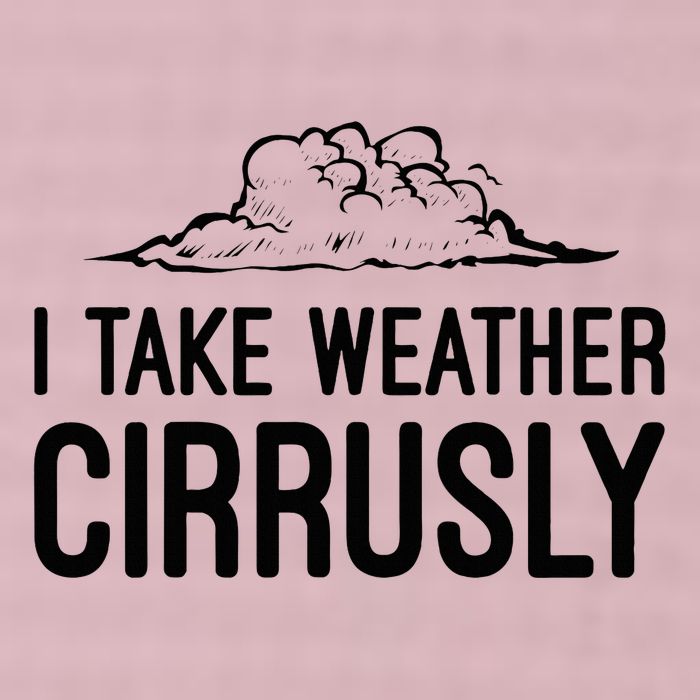 Meteorologist Gift Weather Meteorology 25L Jumbo Tote