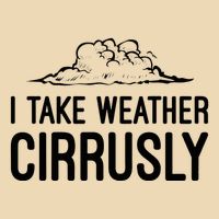Meteorologist Gift Weather Meteorology Zip Tote Bag