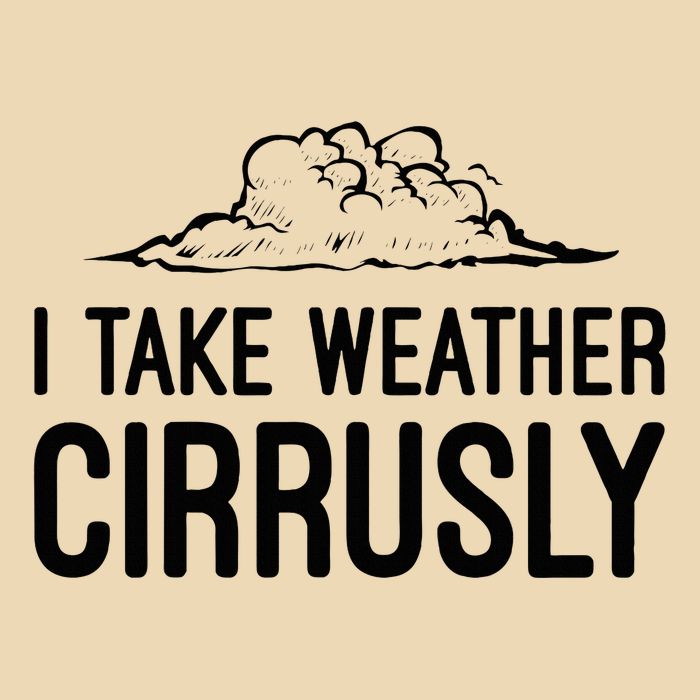 Meteorologist Gift Weather Meteorology Zip Tote Bag