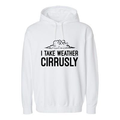 Meteorologist Gift Weather Meteorology Garment-Dyed Fleece Hoodie