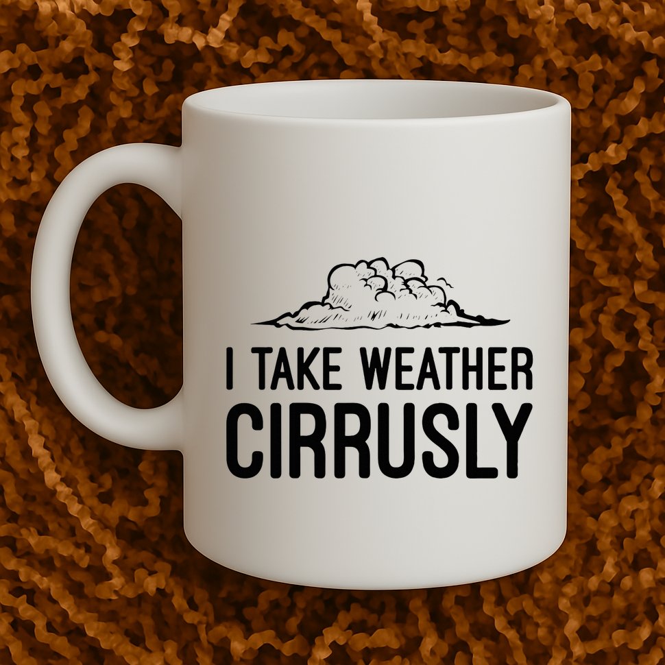 Meteorologist Gift Weather Meteorology Mug