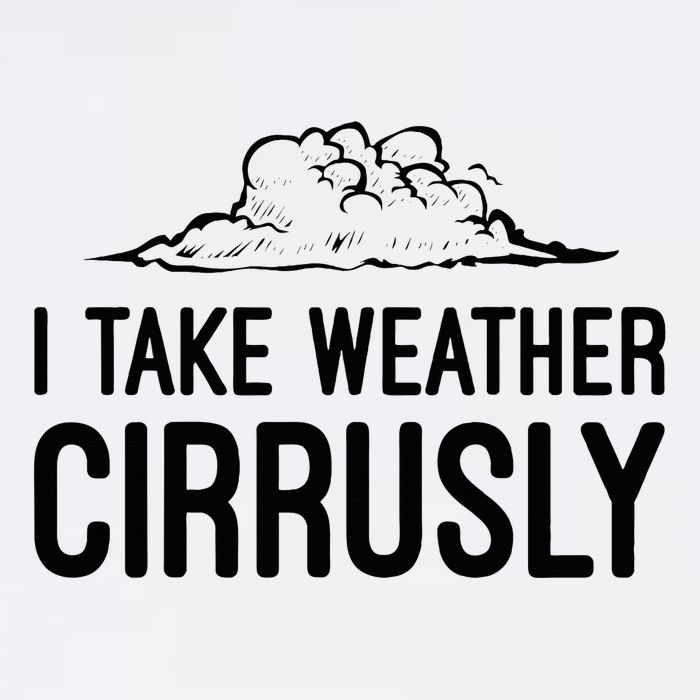 Meteorologist Gift Weather Meteorology Mug