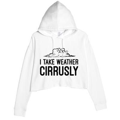 Meteorologist Gift Weather Meteorology Crop Fleece Hoodie