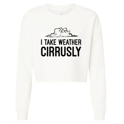 Meteorologist Gift Weather Meteorology Cropped Pullover Crew