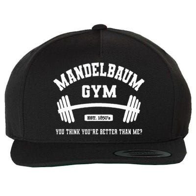 Mandelbaum Gym You Think YouRe Better Than Me Wool Snapback Cap