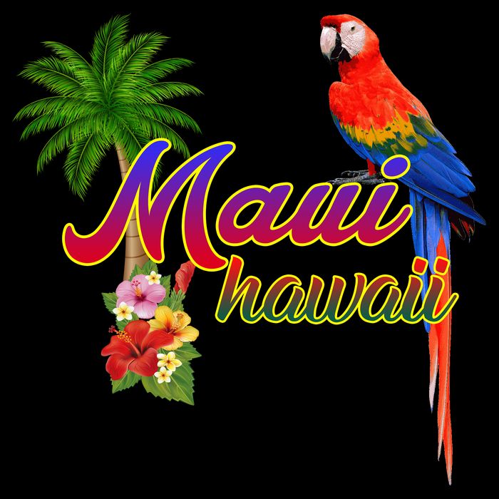 Maui Hawaii Beach Aloha Great Gift Impact Tech Backpack