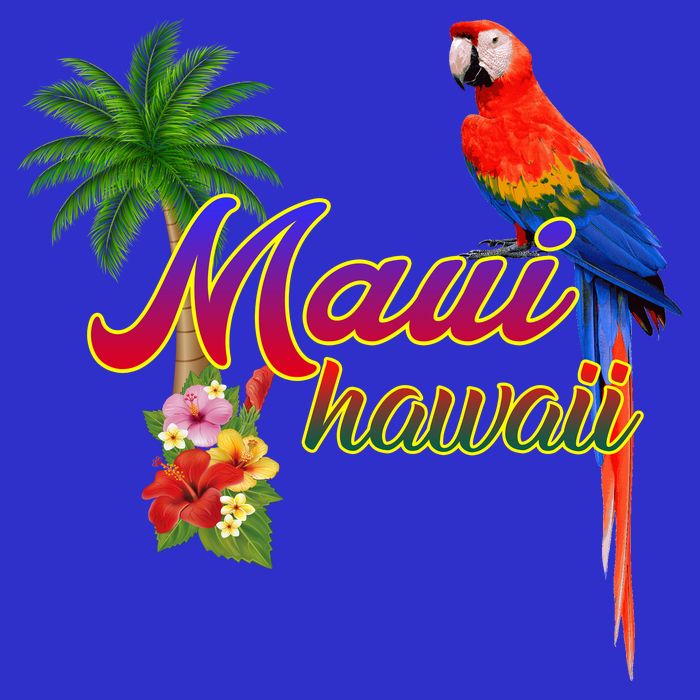 Maui Hawaii Beach Aloha Great Gift 16 in Basic Backpack