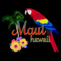 Maui Hawaii Beach Aloha Great Gift 16 in Basic Backpack