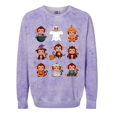 Monkey Halloween Costume Spooky Ghost Monkey Halloween Colorblast Crewneck Sweatshirt