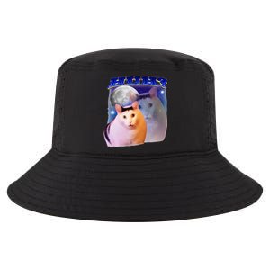 Meme Huh Cat Cool Comfort Performance Bucket Hat