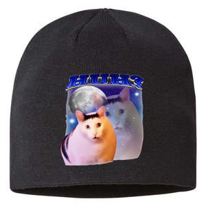 Meme Huh Cat Sustainable Beanie