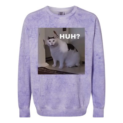 Meme Huh Cat Colorblast Crewneck Sweatshirt