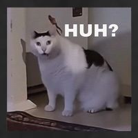 Meme Huh Cat 15oz Campfire Ceramic Mug