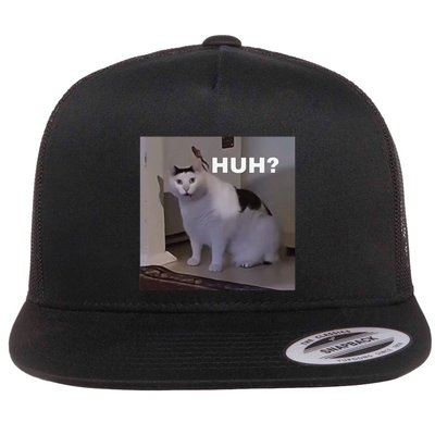 Meme Huh Cat Flatbill Hat