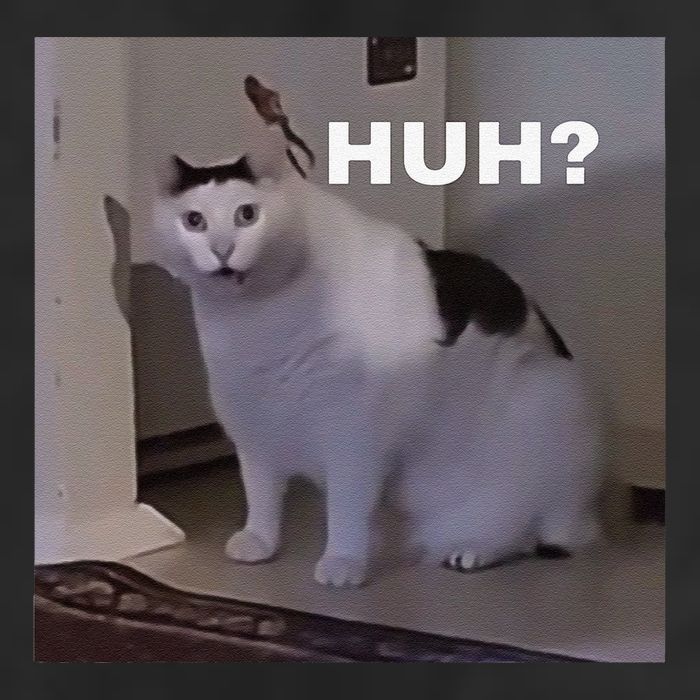 Meme Huh Cat Golf Towel