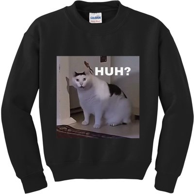 Meme Huh Cat Kids Sweatshirt