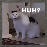 Meme Huh Cat Cotton Canvas Backpack