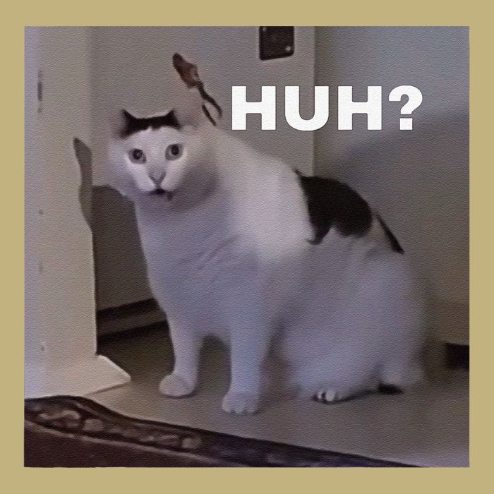 Meme Huh Cat Long Sleeve Shirt