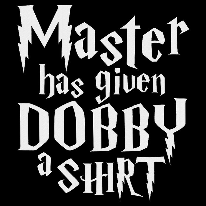 Master Has Given Dobby A , Funny Dobby Gift Flat Bill Trucker Hat