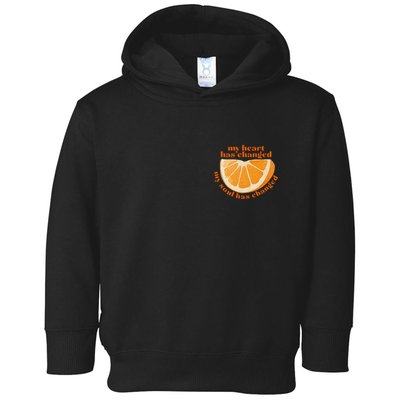 My Heart Has Changed My Soul Has Changed Front & Back Toddler Hoodie