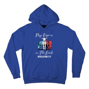 My Hope Is In The Lamb Christian Stand With Christ Gift Hoodie