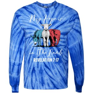 My Hope Is In The Lamb Christian Stand With Christ Gift Tie-Dye Long Sleeve Shirt