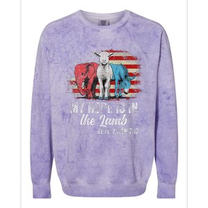 My Hope Is In The Lamb Funny Scripture Elephant Donkey Us Colorblast Crewneck Sweatshirt