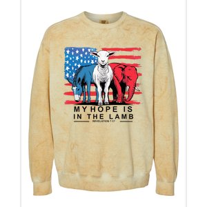 My Hope Is In The Lamb Christian Political Jesus 2024 Colorblast Crewneck Sweatshirt