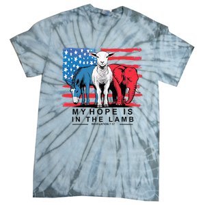 My Hope Is In The Lamb Christian Political Jesus 2024 Tie-Dye T-Shirt