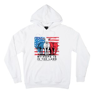 My Hope Is In The Lamb Christian Political Jesus 2024 Hoodie