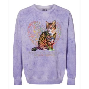 My Heart Is Held By The Paws Of An American Shorthair Cats Colorblast Crewneck Sweatshirt