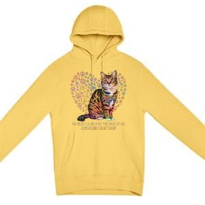 My Heart Is Held By The Paws Of An American Shorthair Cats Premium Pullover Hoodie