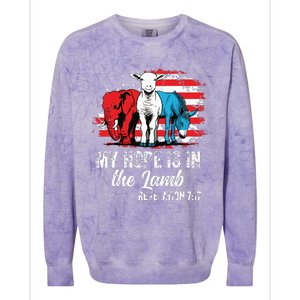 My Hope Is In The Lamb Funny Scripture Elephant Donkey Us Colorblast Crewneck Sweatshirt