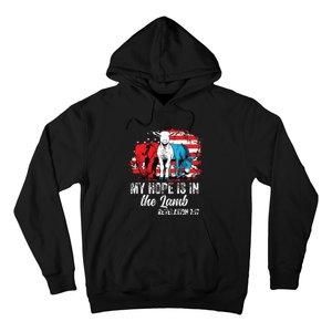 My Hope Is In The Lamb Funny Scripture Elephant Donkey Us Hoodie