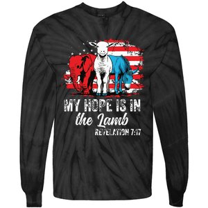 My Hope Is In The Lamb Funny Scripture Elephant Donkey Us Tie-Dye Long Sleeve Shirt