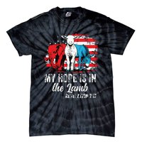 My Hope Is In The Lamb Funny Scripture Elephant Donkey Us Tie-Dye T-Shirt