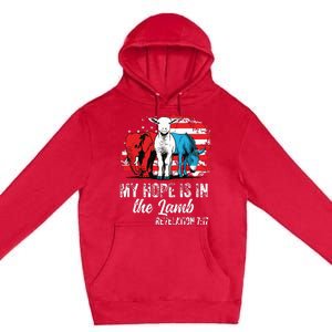 My Hope Is In The Lamb Funny Scripture Elephant Donkey Us Premium Pullover Hoodie