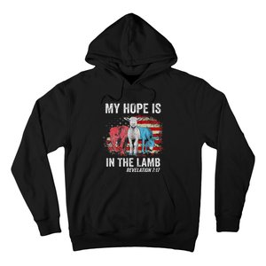 My Hope Is In The Lamb Hoodie