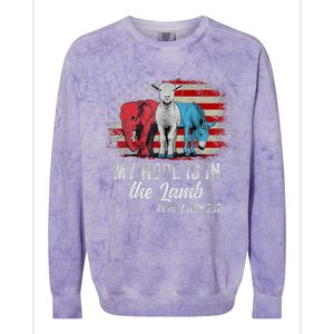 My Hope Is In The Lamb Scripture Elephant Donkey Us Flag Colorblast Crewneck Sweatshirt