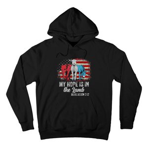 My Hope Is In The Lamb Scripture Elephant Donkey Us Flag Hoodie