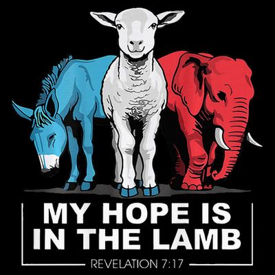 My Hope Is In The Lamb T-Shirt