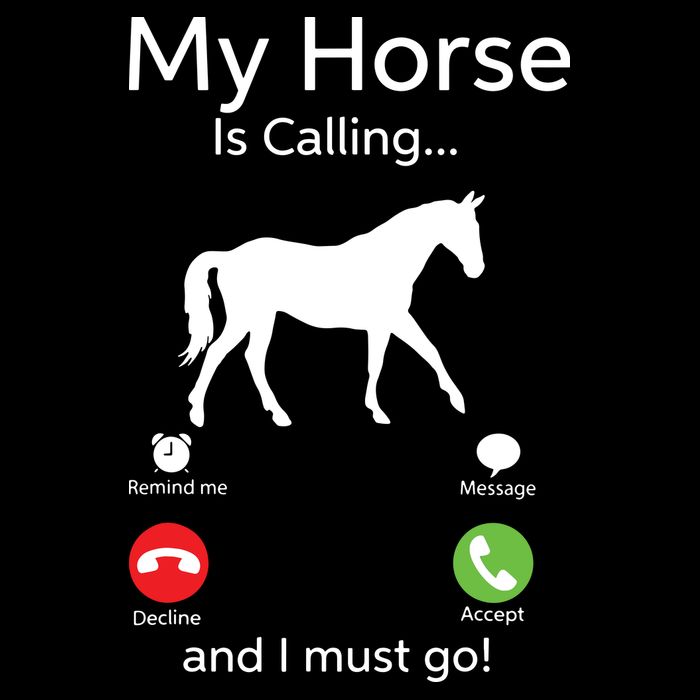 My Horse Is Calling And I Must Go Shirts Apparel Ruffle Wool Snapback Cap