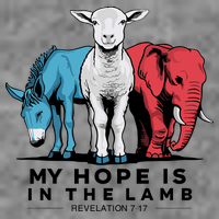 My Hope Is In The Lamb Toddler Hoodie