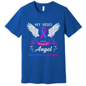 My Hero Is Now My Angel Birth Defects Awareness Month Funny Gift Premium T-Shirt